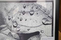 261756232_774550373942563_7788041701608175814_n