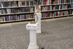 262499808_176551821295023_2922877000719432796_n